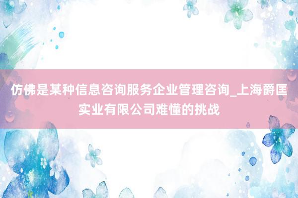 仿佛是某种信息咨询服务企业管理咨询_上海爵匡实业有限公司难懂的挑战