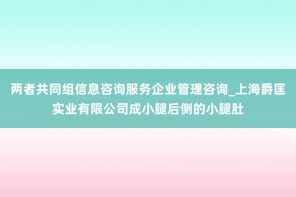 两者共同组信息咨询服务企业管理咨询_上海爵匡实业有限公司成小腿后侧的小腿肚